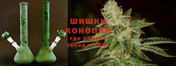 тгк Иннополис