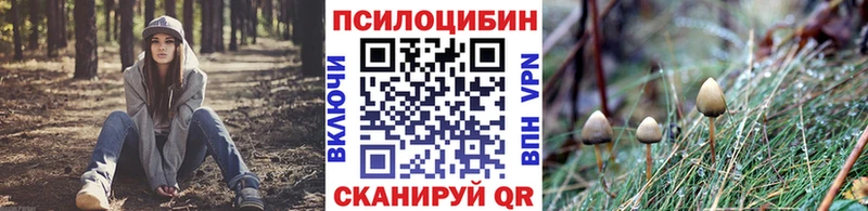 Галлюциногенные грибы ЛСД  Купить  Сельцо 